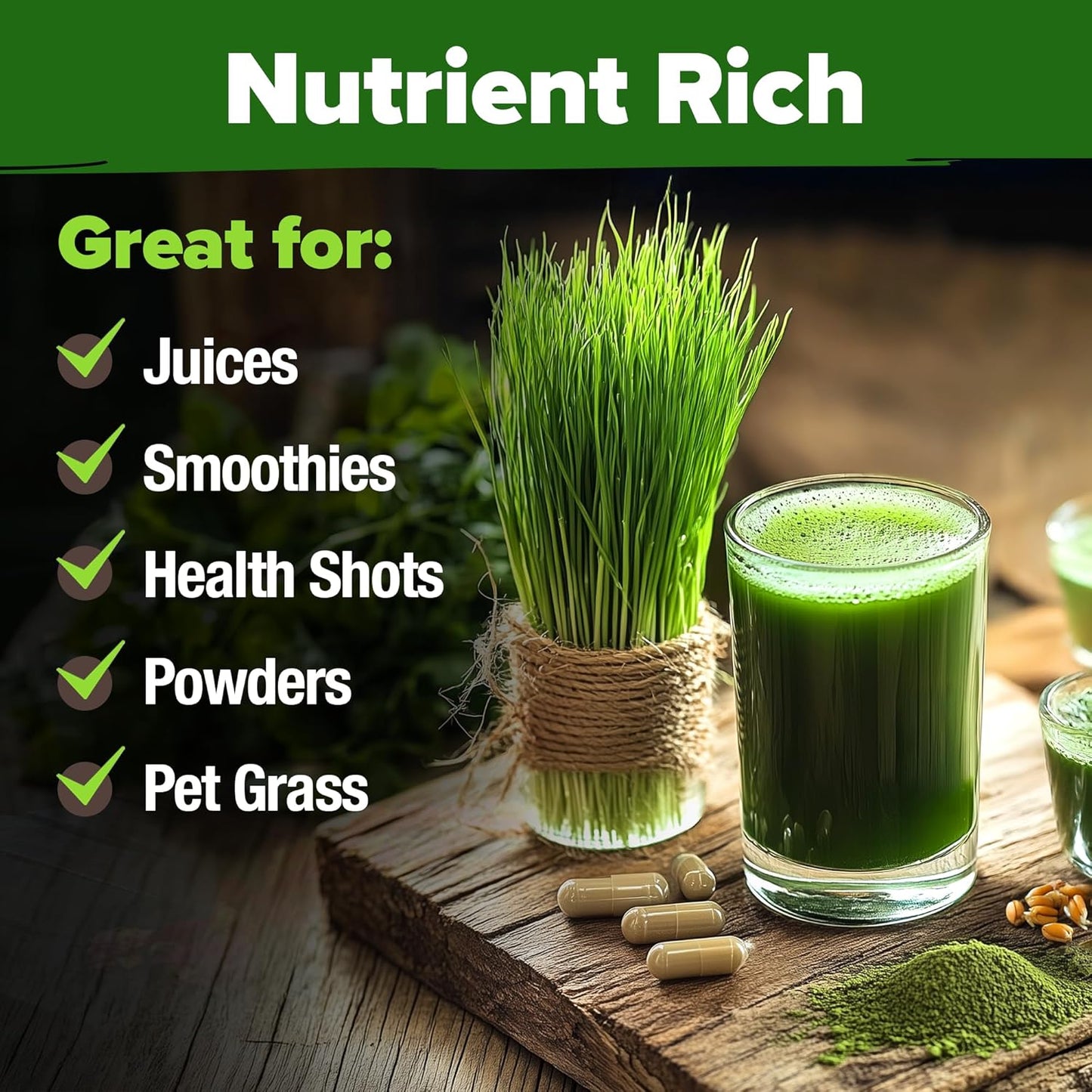HOME GROWN 12,000+ Wheatgrass Seeds Bulk Pack(1.5 lb) π‘π’π‘-ππ π’ π¨π¦π Hard Red Winter Wheatgrass β Heirloom, Sprouting for Juicing, Microgreens, Smoothies & Indoor Gardening(Triticum aestivum)