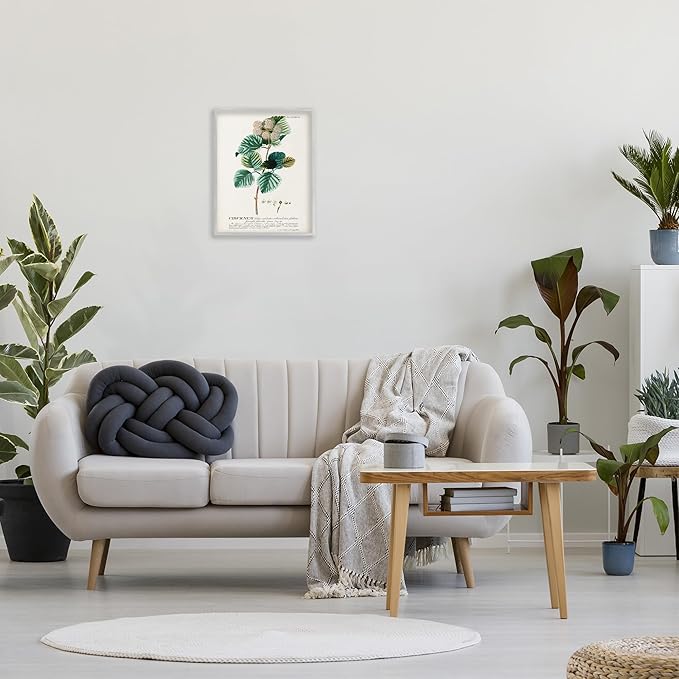 Stupell Industries Botanical Plant Illustration Seeds Vintage Design Grey Framed Wall Art, Multi-Color, 16x20 (fap-219_gff_16x20)