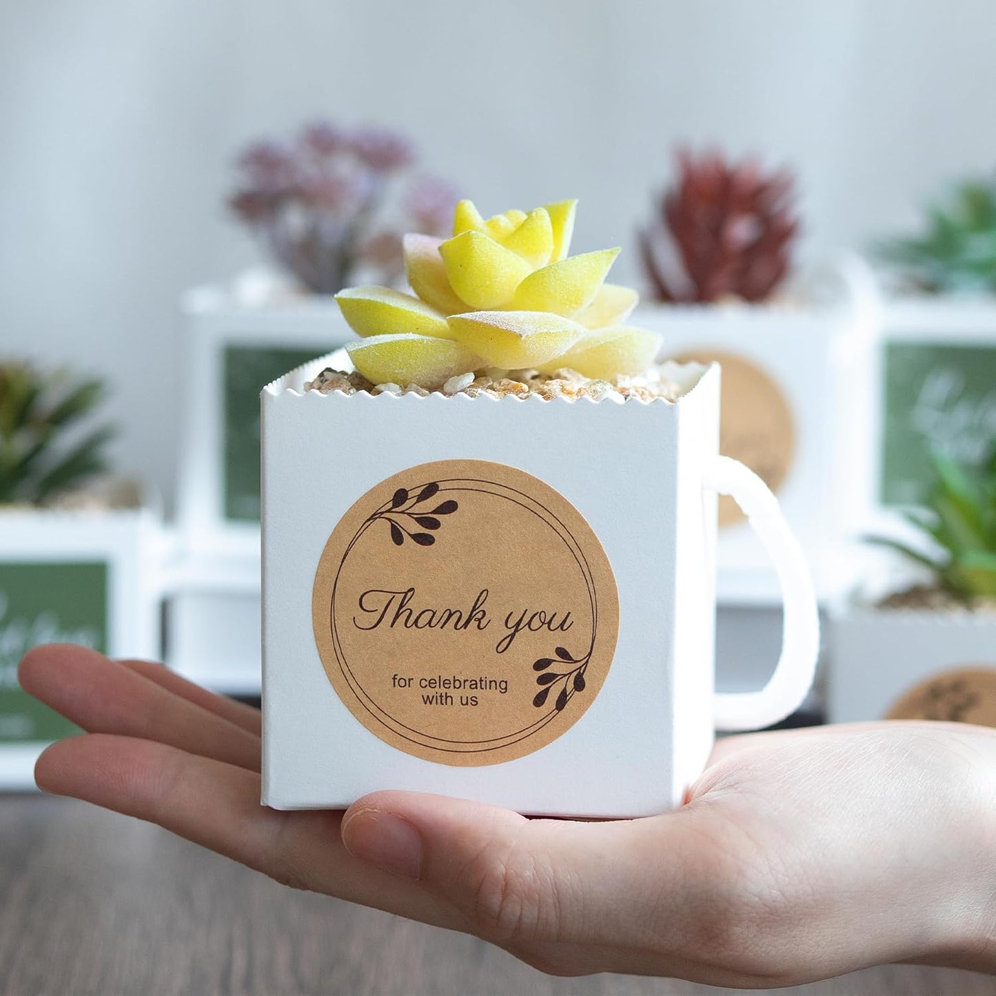 Temlum 2.5 Inch Succulent Wrap Bags (Fits 2.5″ Pots) with Thank You & Let Love Grow Stickers, Small Gift Box for Wedding, Baby Shower, Succulent Party Favors for Guests (White 100pcs)