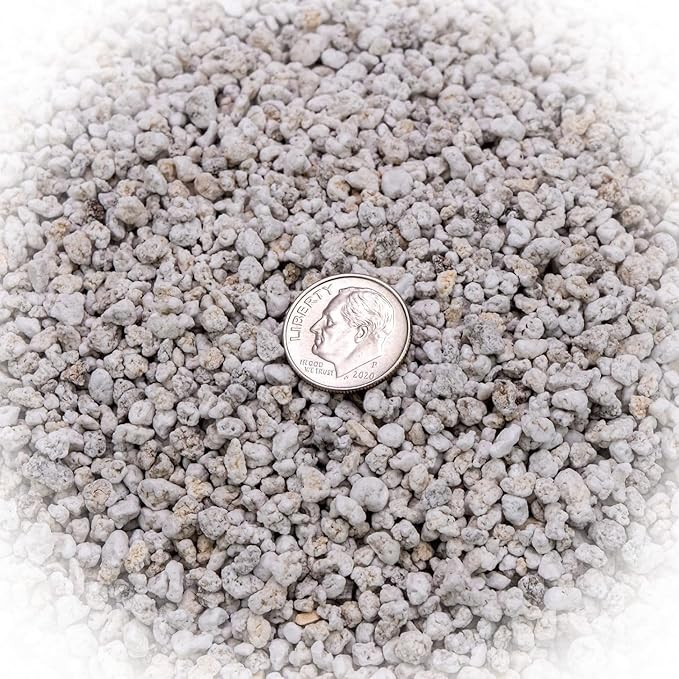 Organic Perlite β Medium/Fine Grade (5qt) Horticultural Soil Amendment for Indoor & Outdoor Container Plants for Drainage Management and Enhanced Growth