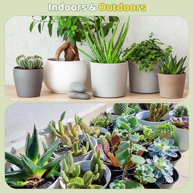 Cactus and Succulent Soil Potting Mix 10qt, Well Draining Chunky Soil Mix for Indoor Plants, Gritty Soil for Healthy Indoor Plants - Spike & Bloom