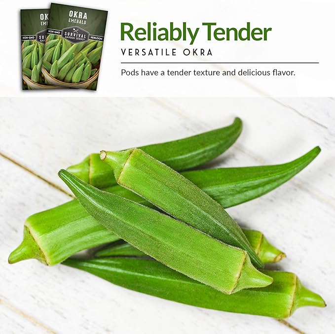Survival Garden Seeds - Emerald Okra Seed for Planting - Packet with Instructions to Plant and Grow Tender and Large Okra in Your Home Vegetable Garden - Non-GMO Heirloom Variety - 3 Pack