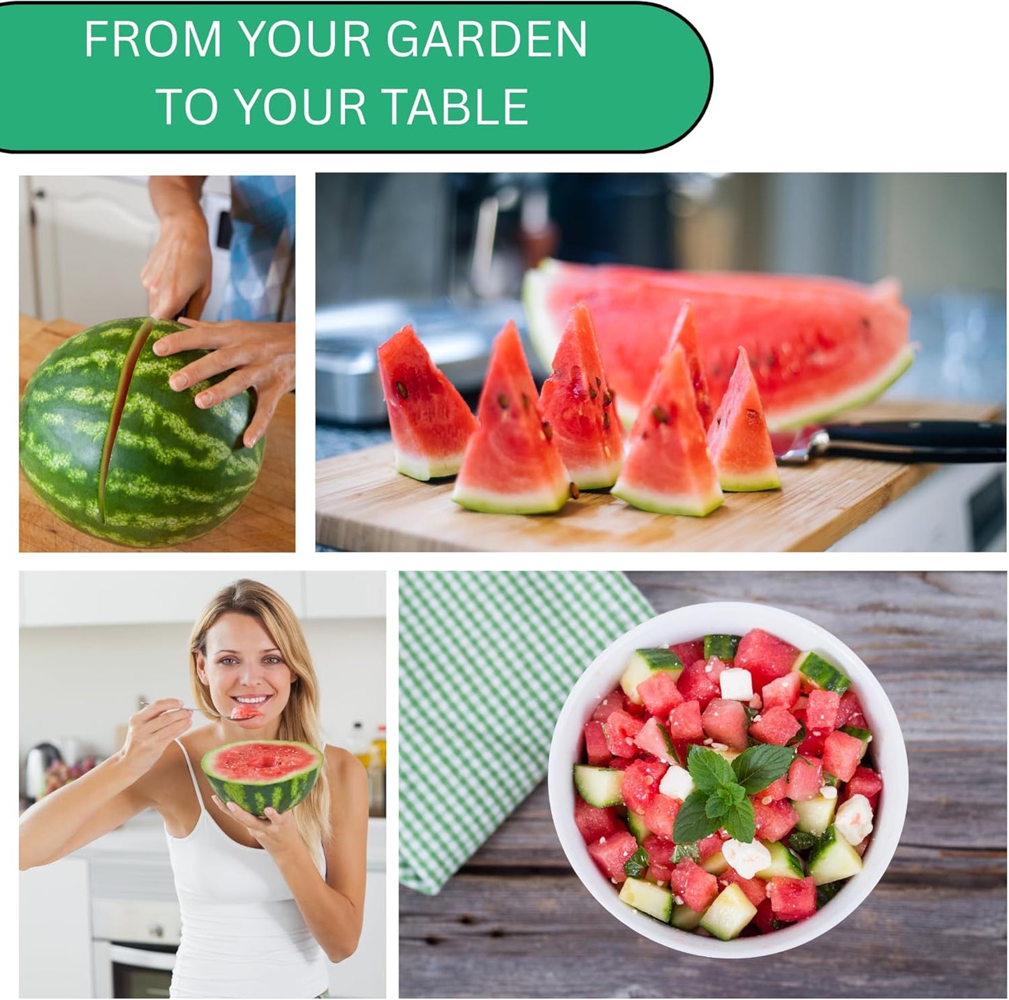 Woods Creek Seeds: Crimson Sweet Watermelon Seeds for Planting - Over 45 Heirloom Watermelon Seed Pack - Non-GMO Fruit Seeds for Planting Home Garden or Outdoors - Mini Watermelon Seeds for Gardeners