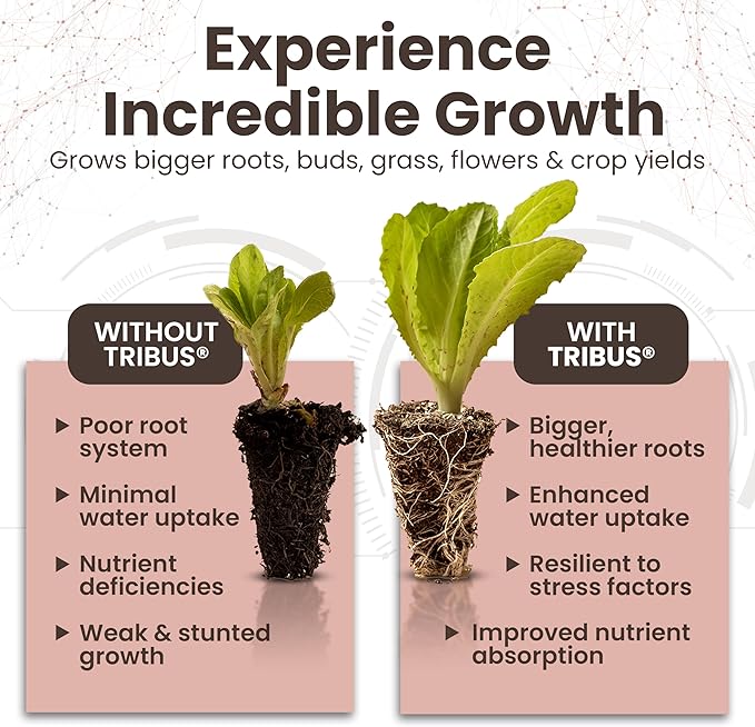 Tribus Organic Microbial Inoculant β Root Booster for Plants, Increases Plant Yield, Root Growth, Flower & Fruit Quality. Bloom Booster. Visible Root Growth in 24Hrs. Liquid Color May Vary. 3.38 oz