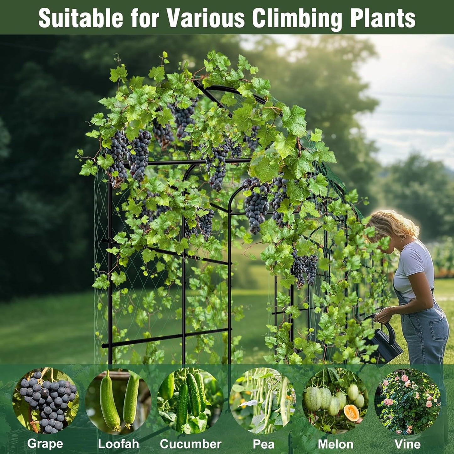 unho Black Iron Garden Arch Trellis for Climbing Plants, 41*64*63inch, Rustic Archway Arbor Tunnel for Vegetables, Cucumber, Raised Bed