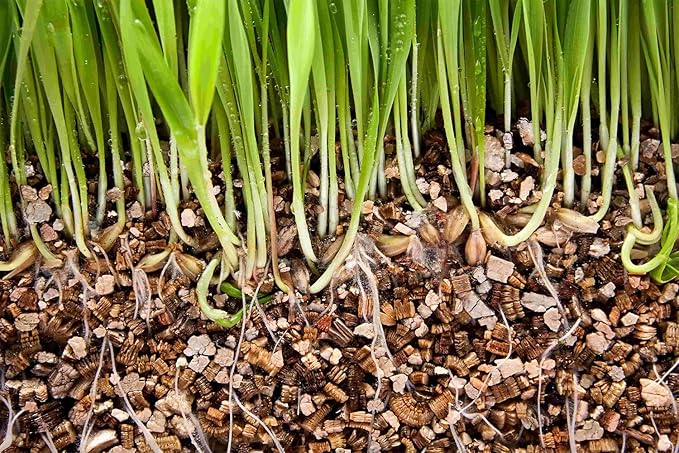 Gardenera's Horticultural Vermiculite for Healthy and Happy Plants - Lightweight, Non-Toxic and Perfect for Improved Soil Aeration - 10 Quart