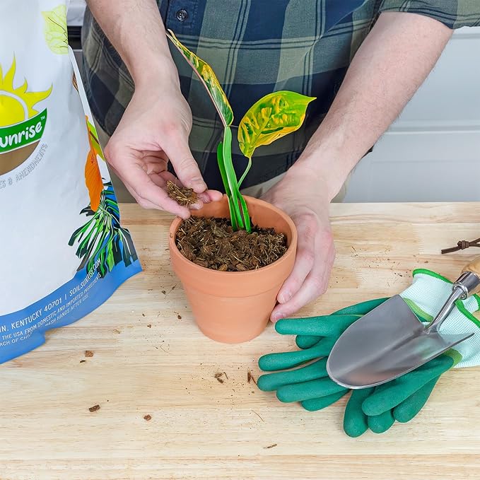 Loose Coco Coir Chips Mulch and Soil Amendment (12 Quarts); Premium Coconut Coir Substrate for Plants and Container Gardening