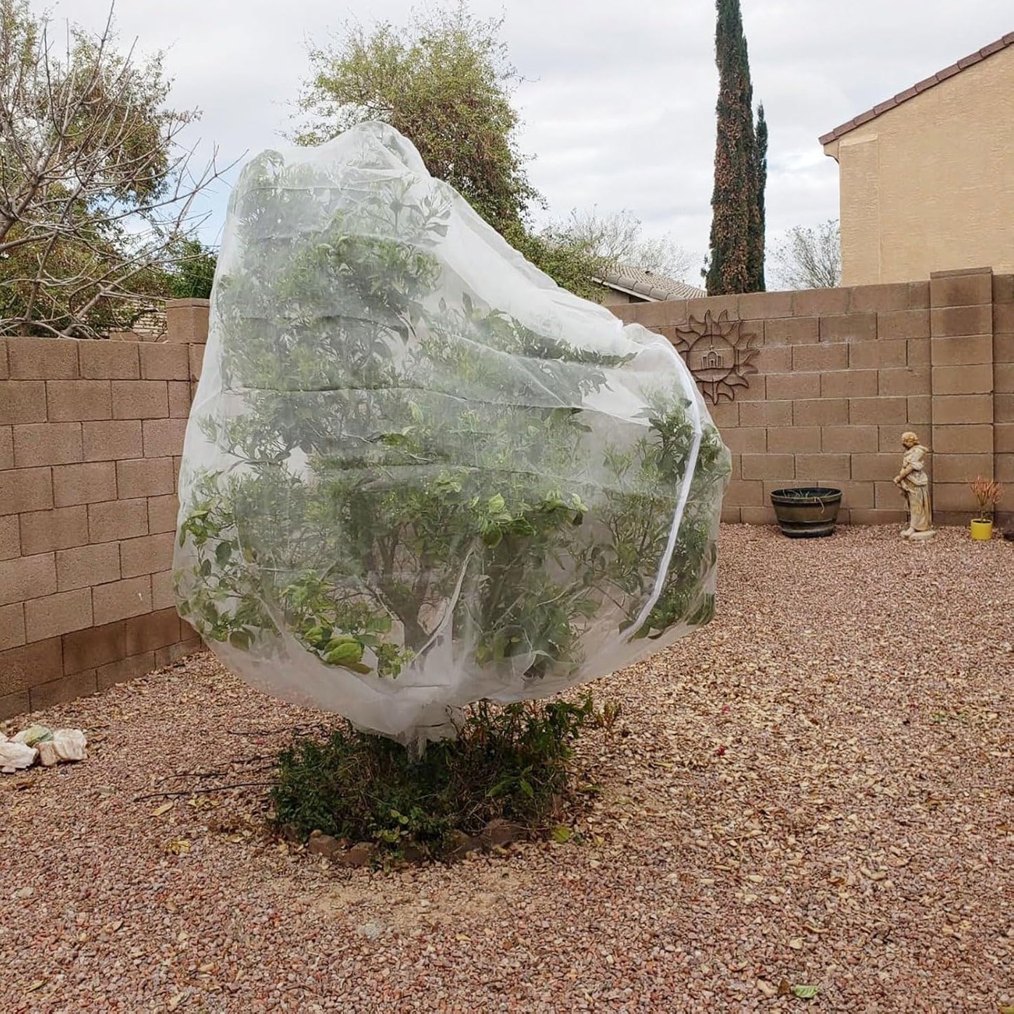 8.2x8.2ft Large Tree Netting for Fruit Trees Keep Birds Squirrels Cicadas and Small Animals Out,Ideal Covers for Cherry Fig Blueberry Bushes Guava Peach Apple Trees(Zippers on One Side)