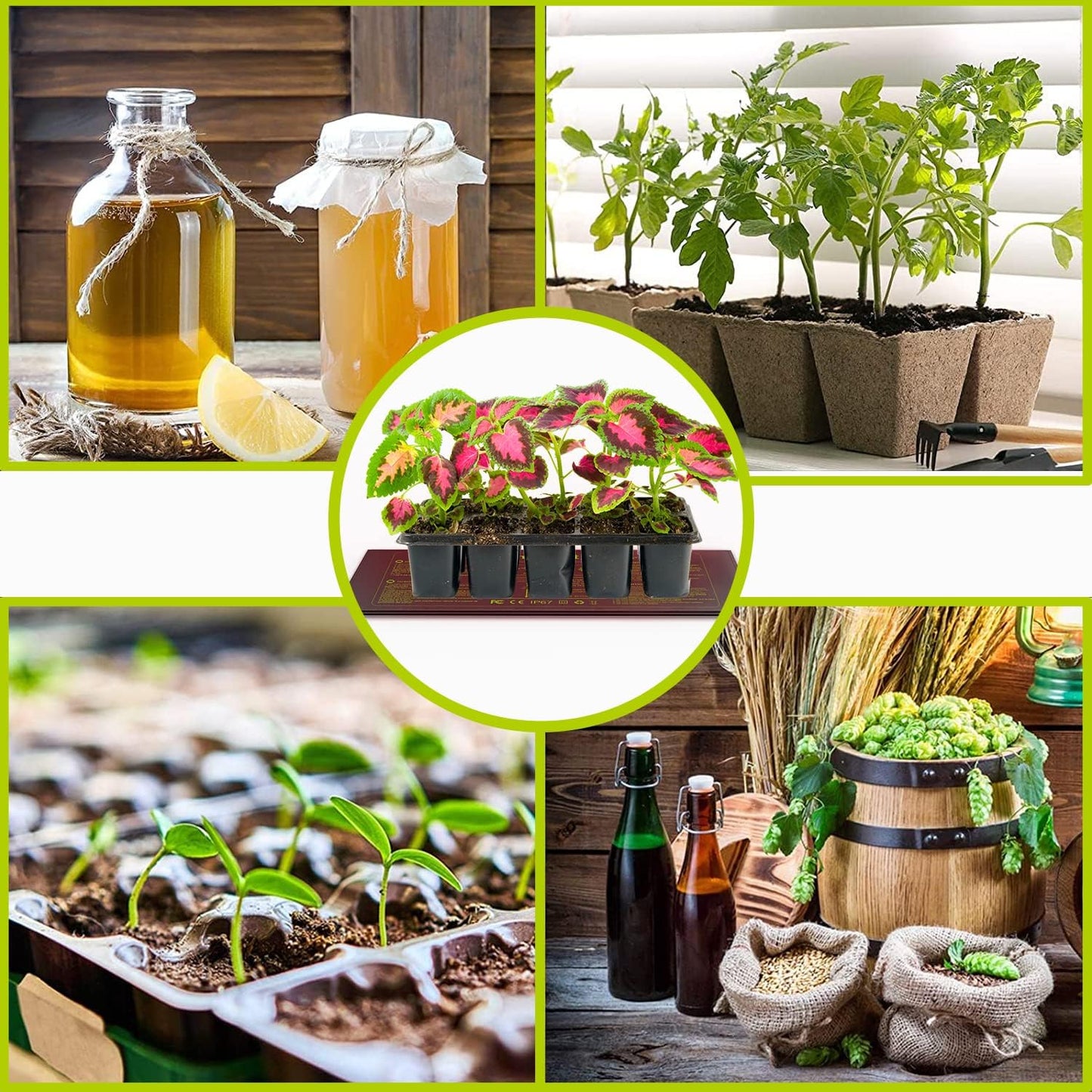 2 Pack Seedling Heat Mat 10X20.75`` Durable Waterproof Plant Heating Pad Warm Hydroponic Heating Mat for Seed Starting Germination Plant Propagation
