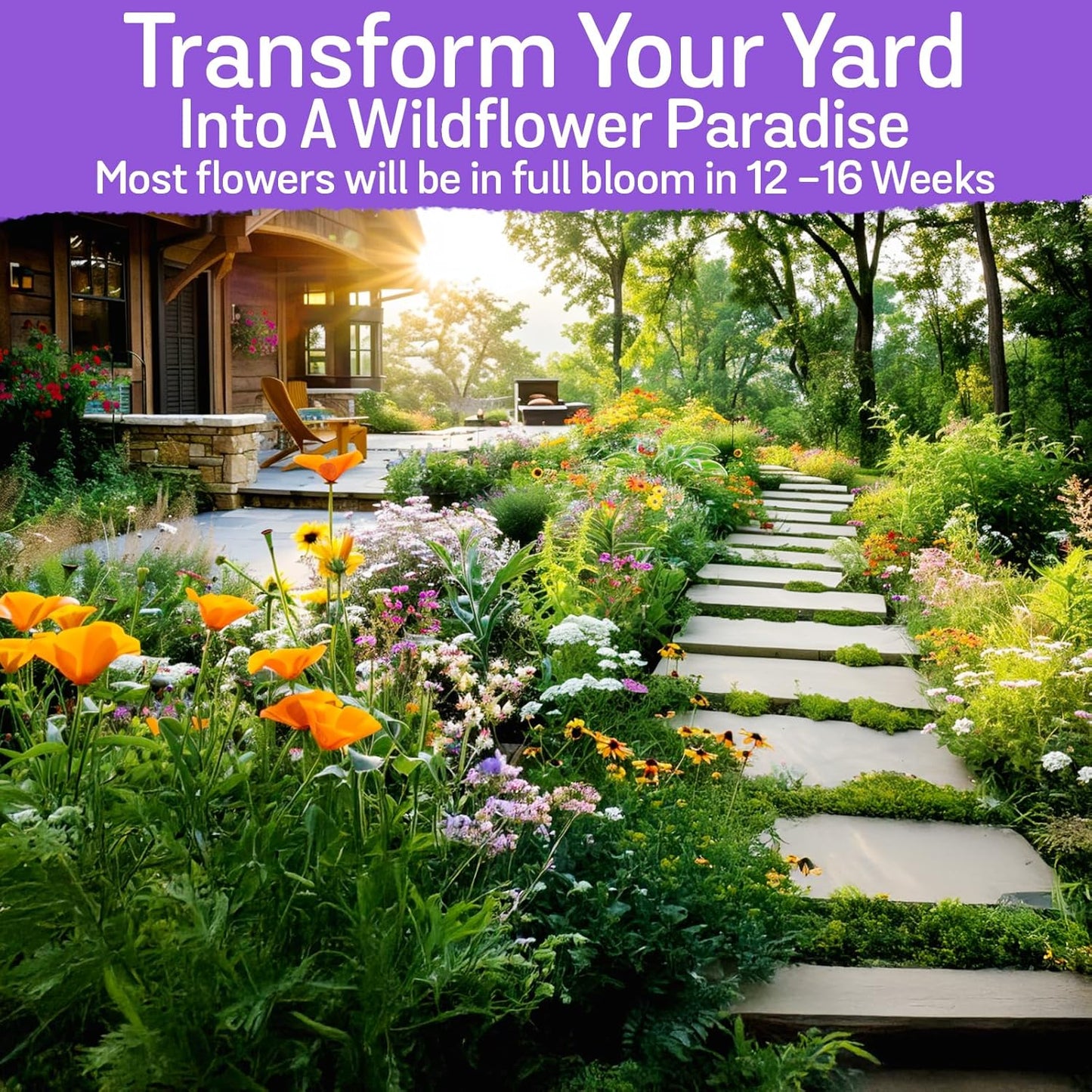 NatureZ Edge Wildflower Seeds, 1/2 lb, 340,000 Seed, 35 Variety Perennial & Annual Flower Seeds to Plant Outside, Bulk Wildflower Seed, Wild Flower, Semillas de Flores