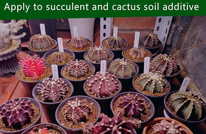 Gardening Akadama Soil - Cactus, Bonsai, Succulent Soil Additives Landscaping Vase Fillings (1/8 inch, 5 QT)