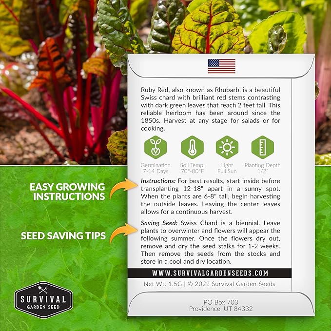 Survival Garden Seeds - Ruby Red Rhubarb Swiss Chard Seed for Planting - 2 Packs with Instructions to Plant and Grow Delicious Leafy Greens in Your Home Vegetable Garden - Non-GMO Heirloom Variety