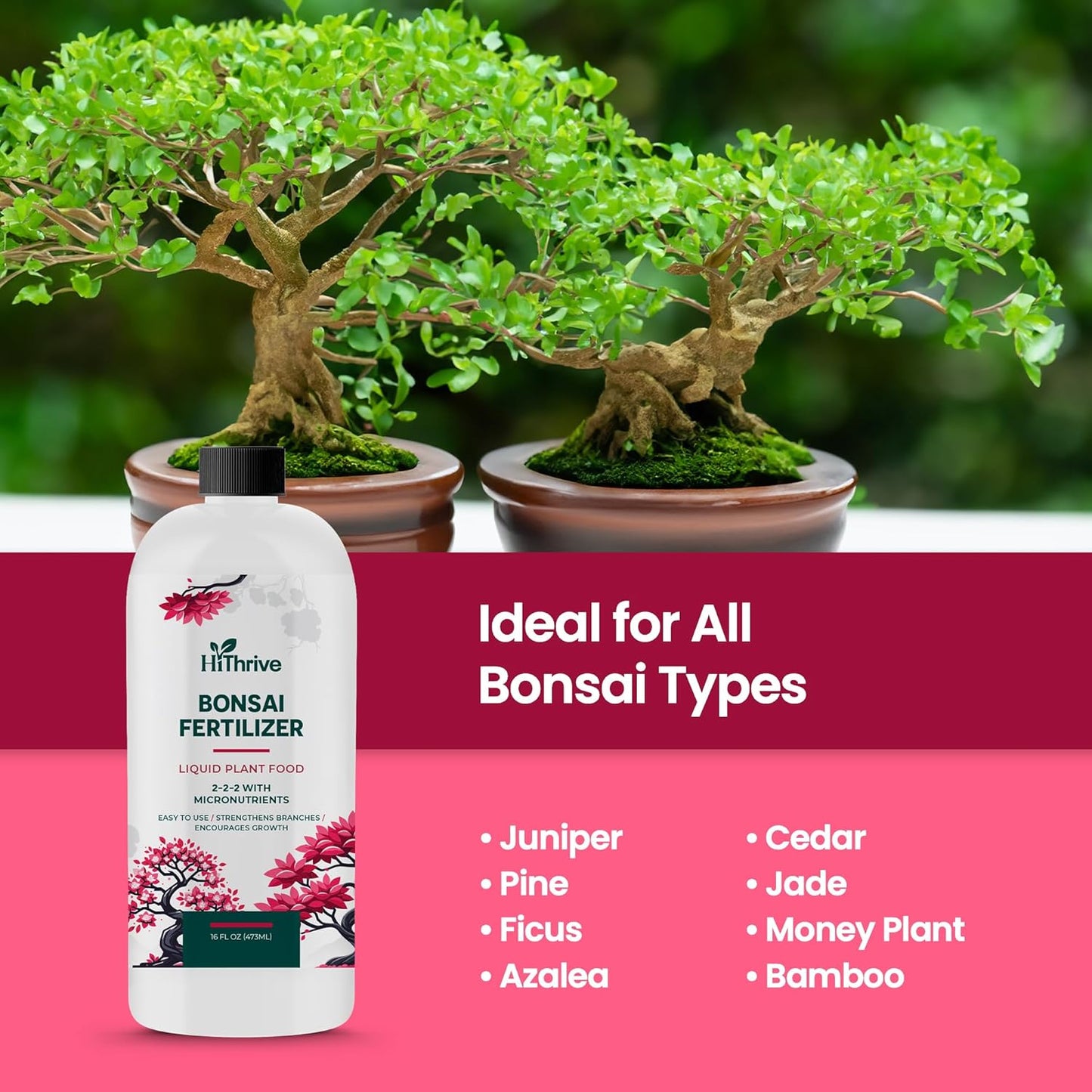 16oz Bonsai Tree Live Liquid Plant Food - Makes 32 Gallons of Bonsai Fertilizer Liquid, Premium Macronutrient Formula Enriched with Micronutrients for Healthy Roots, Branching & Foliage