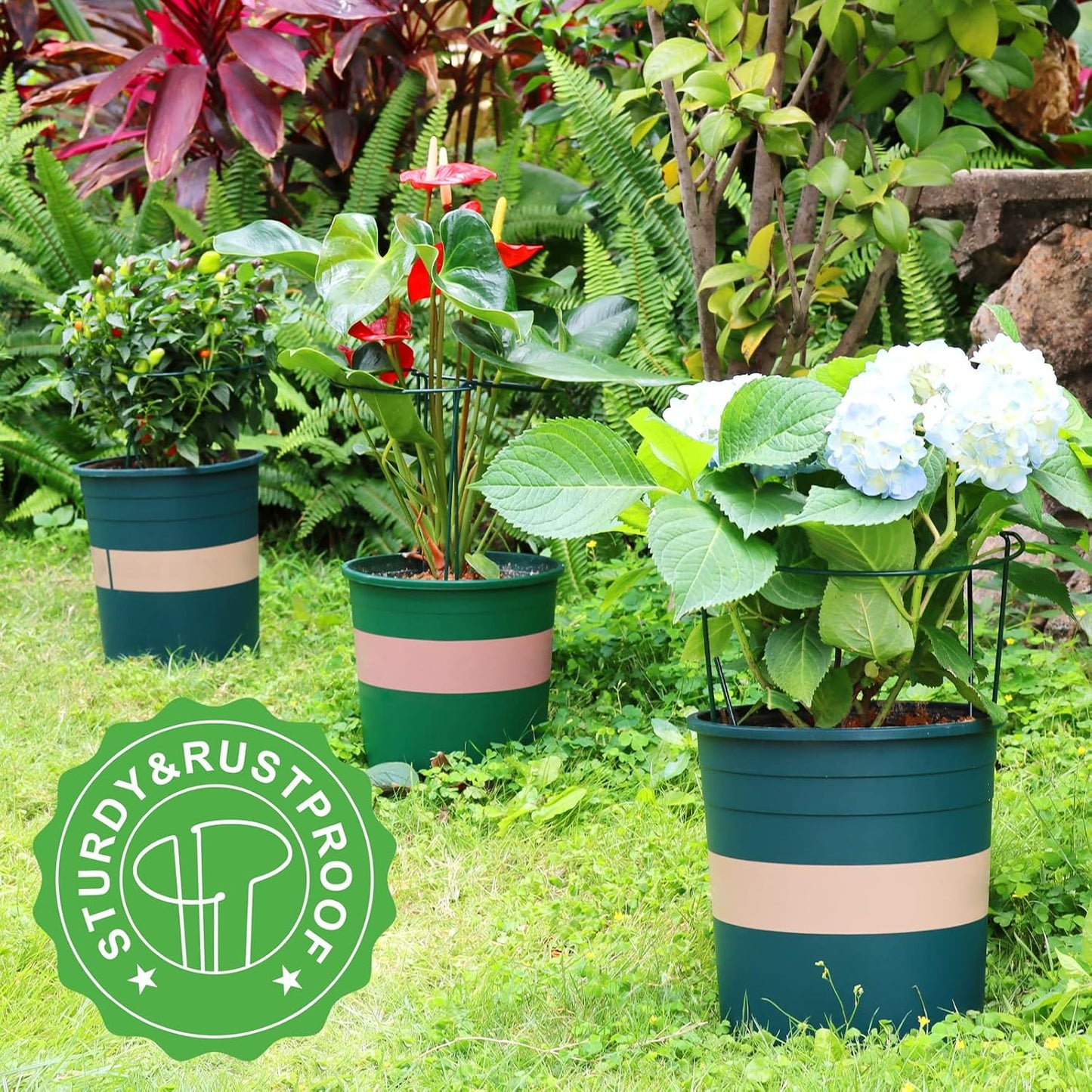 LEOBRO Plant Support Stakes, 6 PCS Peony Cages and Supports, Plant Stakes for Indoor Plants, Outdoor Plants, Monstera Tomato Hydrangea Support Cage, 10" W x 15.8" H