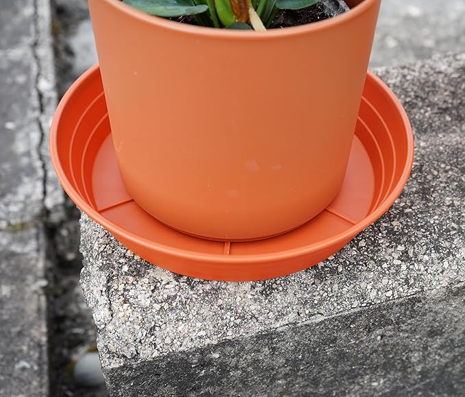 Plant Saucer 14 Inch 4 Pack 6 8 10 12 14 16 18 20 25, Plastic Plant Trays for Pots,Extra-Deep Plant Water Dray Tray, Bird Bath Bowl, Heavy Flower Plant Saucers Indoors and Outdoor No Holes