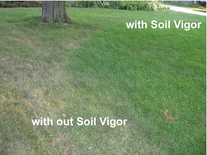 Potassium Polyacrylate for Garden Lasts Up to 7 Years in Soil (45)