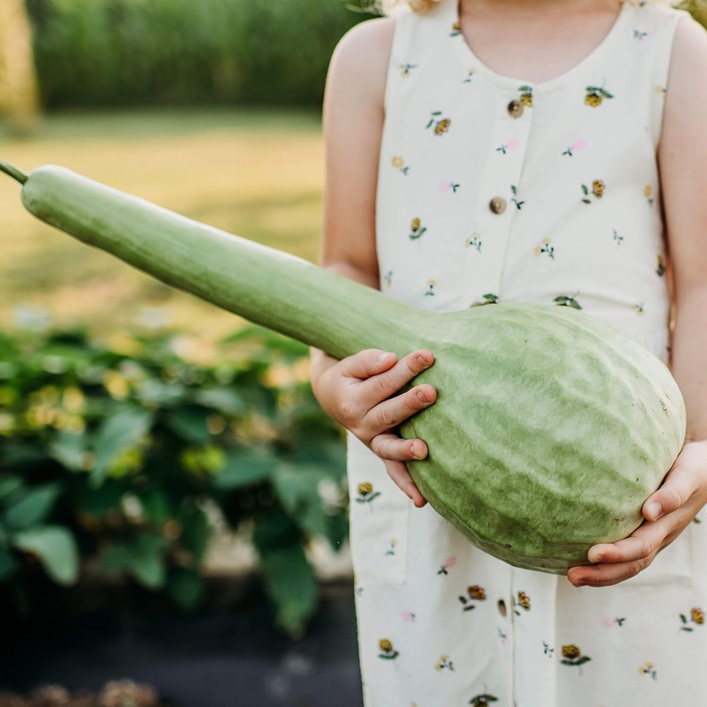 Long Handle Dipper Gourd - 25 Seeds - Heirloom & Open-Pollinated Variety, Non-GMO Vegetable Seeds for Planting Outdoors in The Home Garden, Thresh Seed Company
