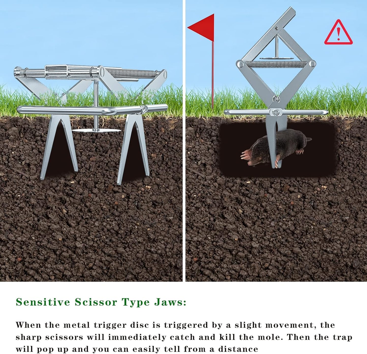 Mole Traps That Kill Best, Scissor for Lawns Vole Traps Outdoor Use, Mole Trap Easy to Set Galvanized Steel Reusable Quick Capture Gopher