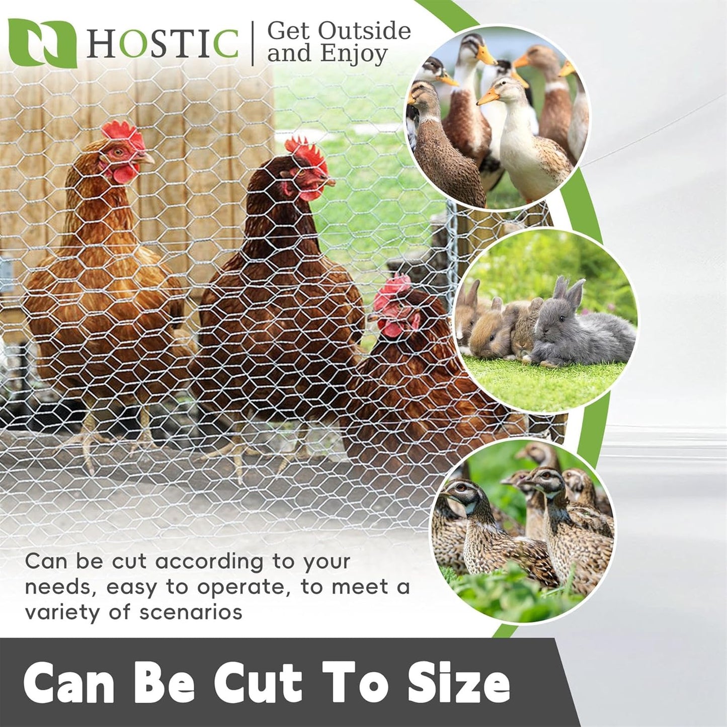 HOSTIC 4FTx150FT Chicken Wire Netting 2IN Mesh Galvanized Wire Hexagonal Fencing for Poultry Garden Fence Barrier