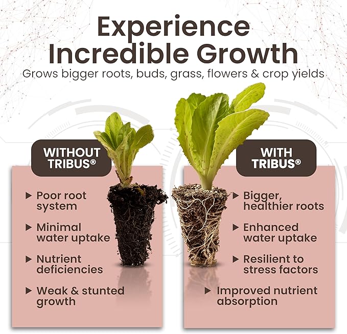 Tribus Organic Microbial Inoculant β Root Booster for Plants, Increases Plant Yield, Root Growth, Flower & Fruit Quality. Bloom Booster. Visible Root Growth in 24Hrs. Liquid Color May Vary. 8.5 oz