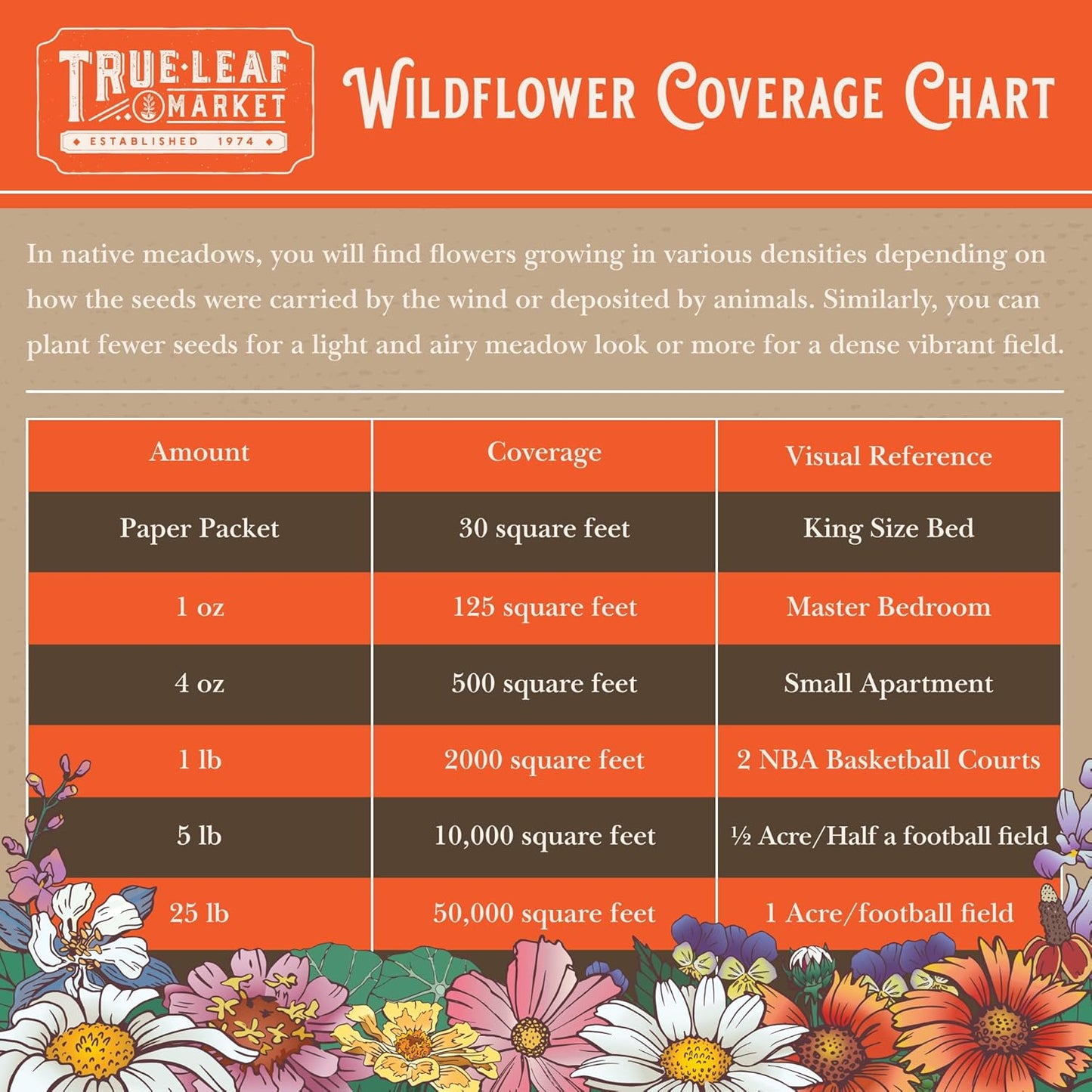 Rocky Mountain Wildflower Seeds Mix - 1 Lb Seed Pouch - 22 Wild Flower Seed Varieties - Annuals, Perennials and Bi-Annuals - Flower Garden