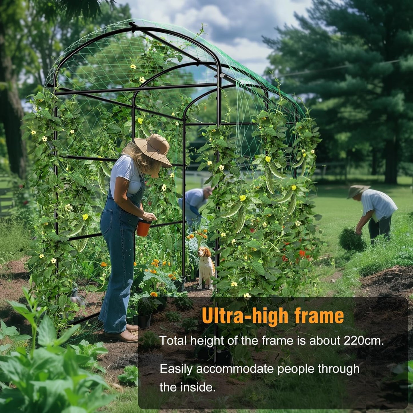 unho Garden Arch Trellis,7.2FT Extra Tall Polyethylene-Coated Stainless Steel Garden Trellis for Climbing Plants Outdoor Garden Trellis Arch for Cucumber Trellis,Metal Trellis for Climbing Plants
