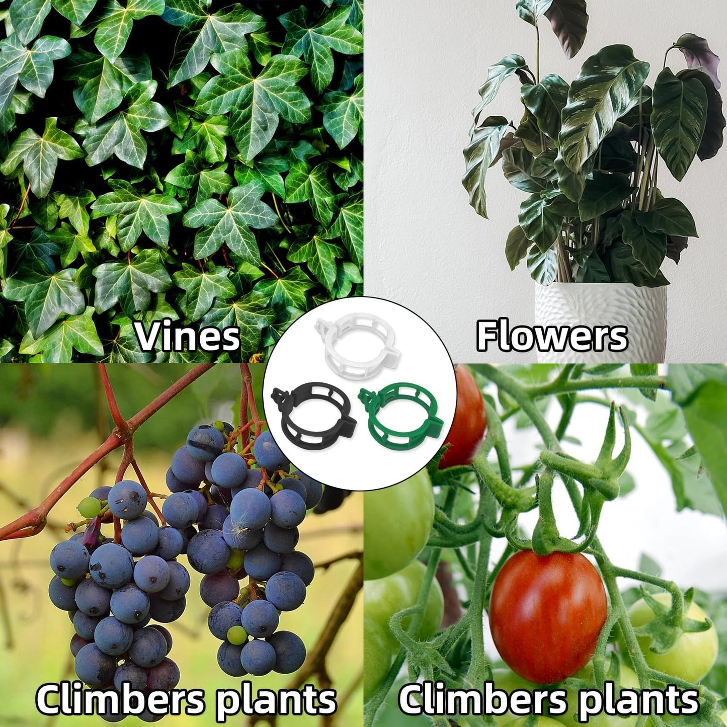 300 pcs Plant Support Clips, VEINARDYL Plastic Secured Garden Clips Trellis Clips for Climbing Plants Tomato Clips Vegetable Clips Flowers Stem Vine Fixing Clips for Plants Upright Outdoor Plants