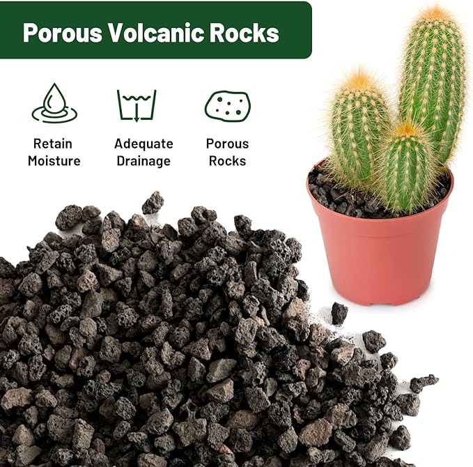 Drainage Rocks for Potted Plants 10LB, Horticultural Lava Rocks for Plants, Succulent Rocks for Pot Indoor, Lava Rock Aquarium Garden Landscaping Volcanic Bonsai Terrarium Fish Tank Decorative Stone