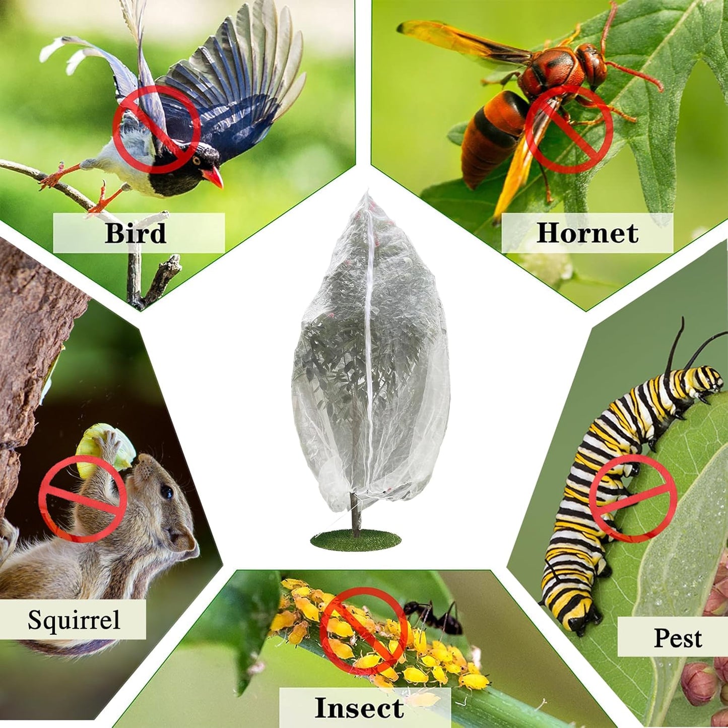 8×6.6Ft Fruit Tree Netting Cover with Drawstring/Zipper- Bird Garden Mesh Netting Protect Tomato Blueberry Bushes Strawberry from Cicada/Insect/Bug/Squirrel, Plant Netting Cover Pest Barrier