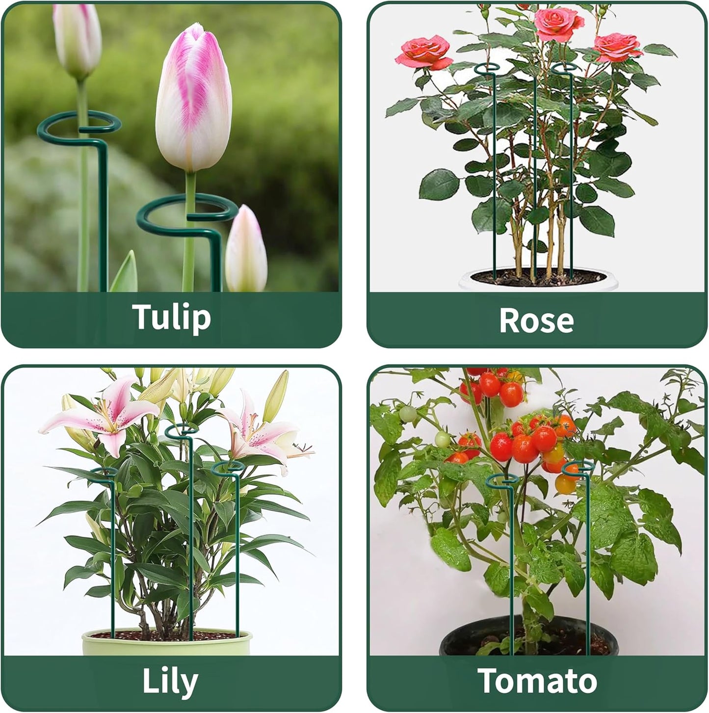 36” Tall Plant Stakes, 20 Pack Plant Support Stakes,6mm Heavy-Duty Metal Garden Stakes, Flower Stakes for Lilies, Dahlias, Gladiolus, Sunflowers, Tomato, Clematis