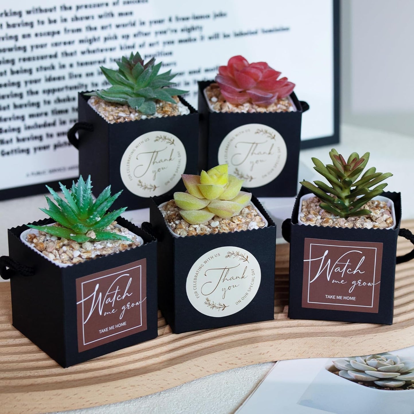 Temlum 2.5 Inch Succulent Wrap Bags (Fits 2.5″ Pots) with Thank You & Watch Me Grow Stickers, Small Succulent Gift Box for Wedding, Baby Shower, Succulent Party Favors for Guests (Black 40pcs)
