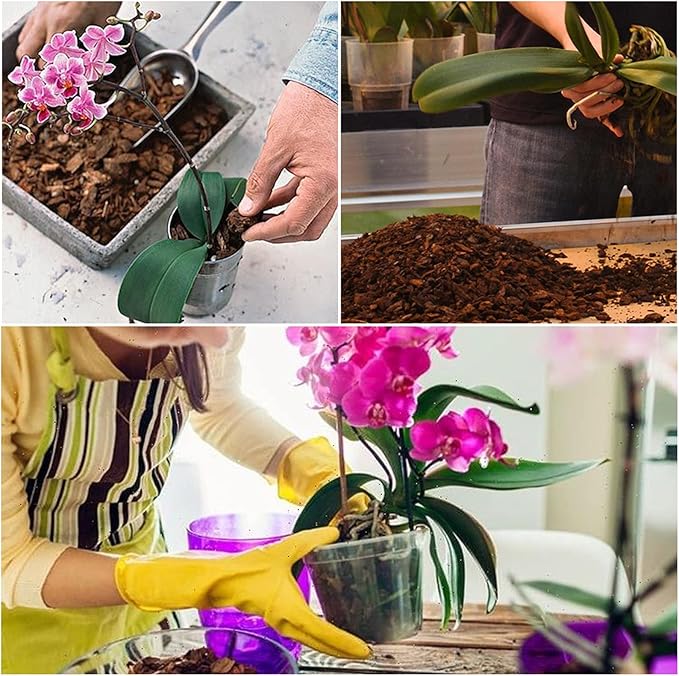 Orchid Potting Mix Orchid Bark, Mix Pine Bark and Perlite, Good Drainage and Water Retention (2 Quart)