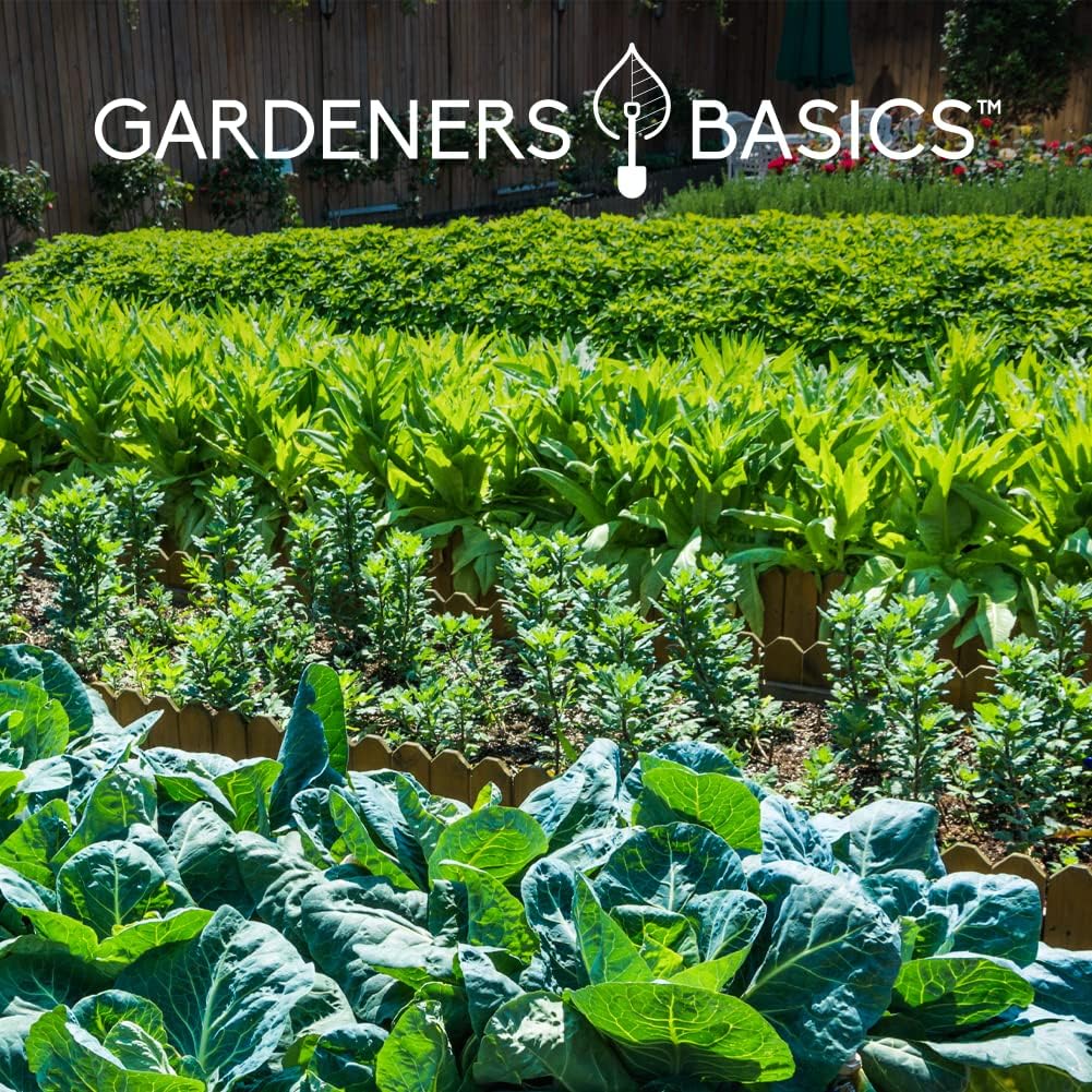 Gardeners Basics Seed Safe Kit – 35 Easy-to-Grow Heirloom Vegetable Seeds for Beginners – Non-GMO Garden Starter Set with 17,000+ Seeds – Perfect Gardening Gift for New Gardeners or Families
