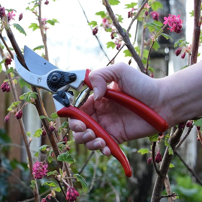 Spear & Jackson 6659BS/13 Razorsharp Heavy Duty Forged Bypass Pruners