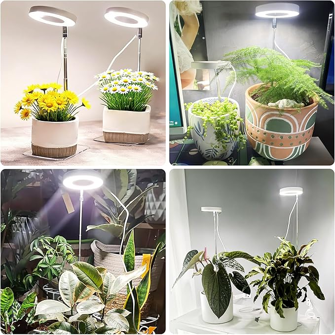 3.54" White Grow Light, Full Spectrum Plant Lights for Indoor Growing with 3/9/12H Timer, 3 Color Modes, 10 Brightness, 6.6"-24.8" Height Adjustable,Small Halo Grow Light with Base, 2 Pack