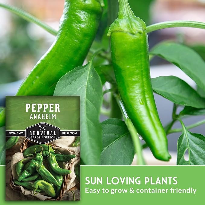 Survival Garden Seeds Anaheim Chili Pepper Seed for Planting - 3 Packets with Instructions to Plant & Grow Mild to Medium Hot Chile Peppers in Your Home Vegetable Garden - Non-GMO Heirloom Variety