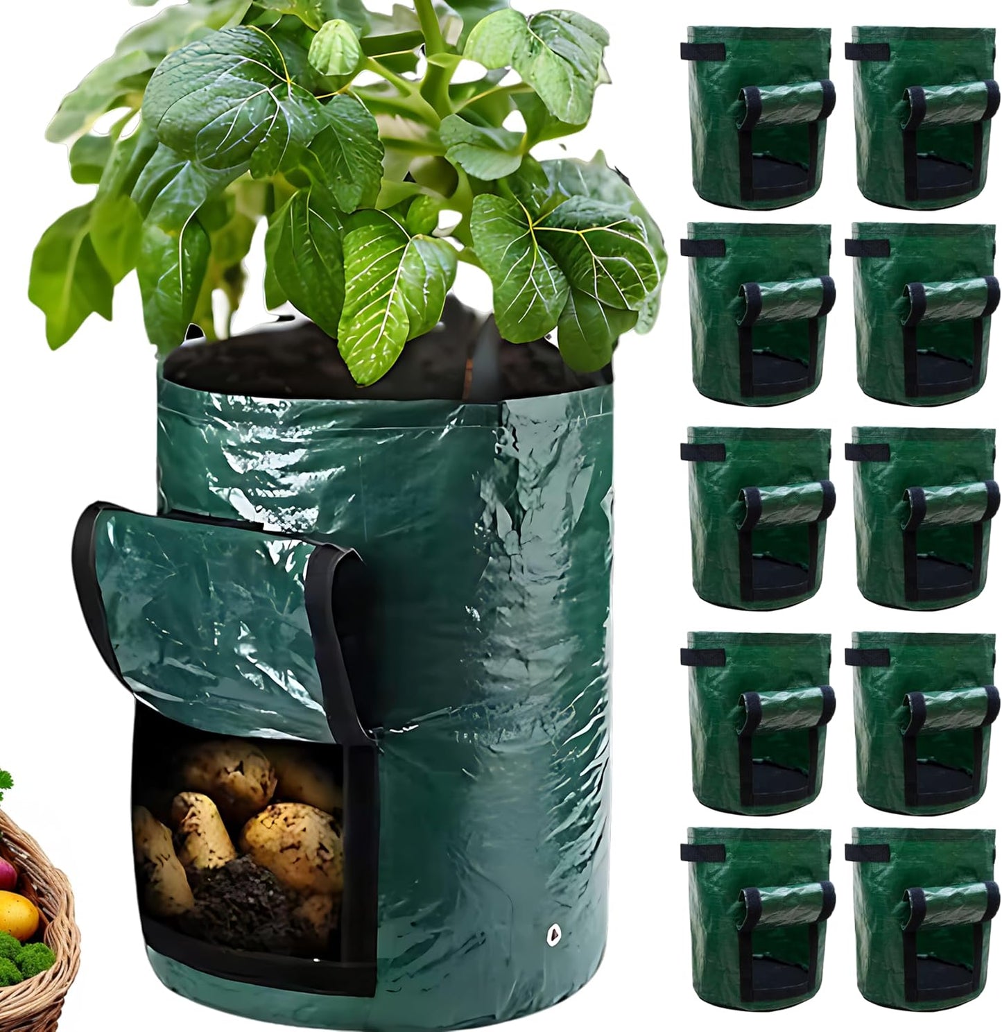 SunVara Potato Grow Bags 10 Gallon 10 Pack for Growing Potatoes Plant Grow Bags Potato Garden Bags to Grow Vegetables Potato Planter