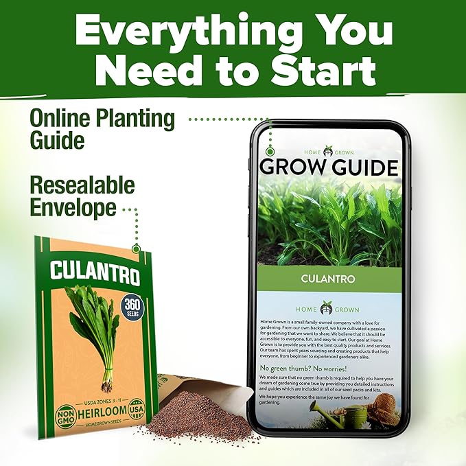 HOME GROWN π¨π¦π π£π₯ππ ππ¨π Culantro Seeds 360 Herb Seeds for Planting Non-GMO Heirloom Variety, Robust Flavor, Thrives in Heat, Grows Indoors or Outdoors, Cilantro Substitute (Eryngium Foetidum)