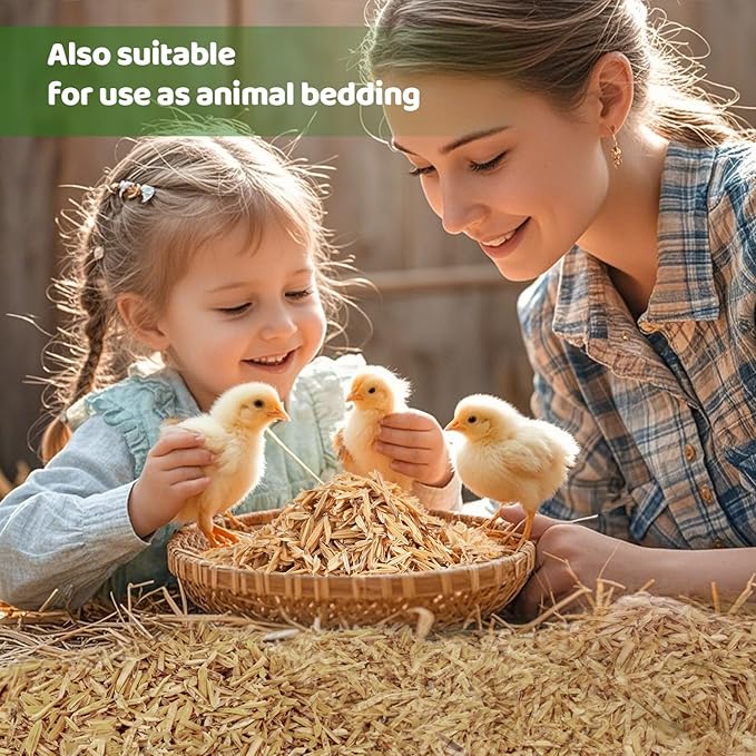 Rice Hulls for Gardening 2qt - Promote Root Development, Water Efficiency, and Disease Resistance