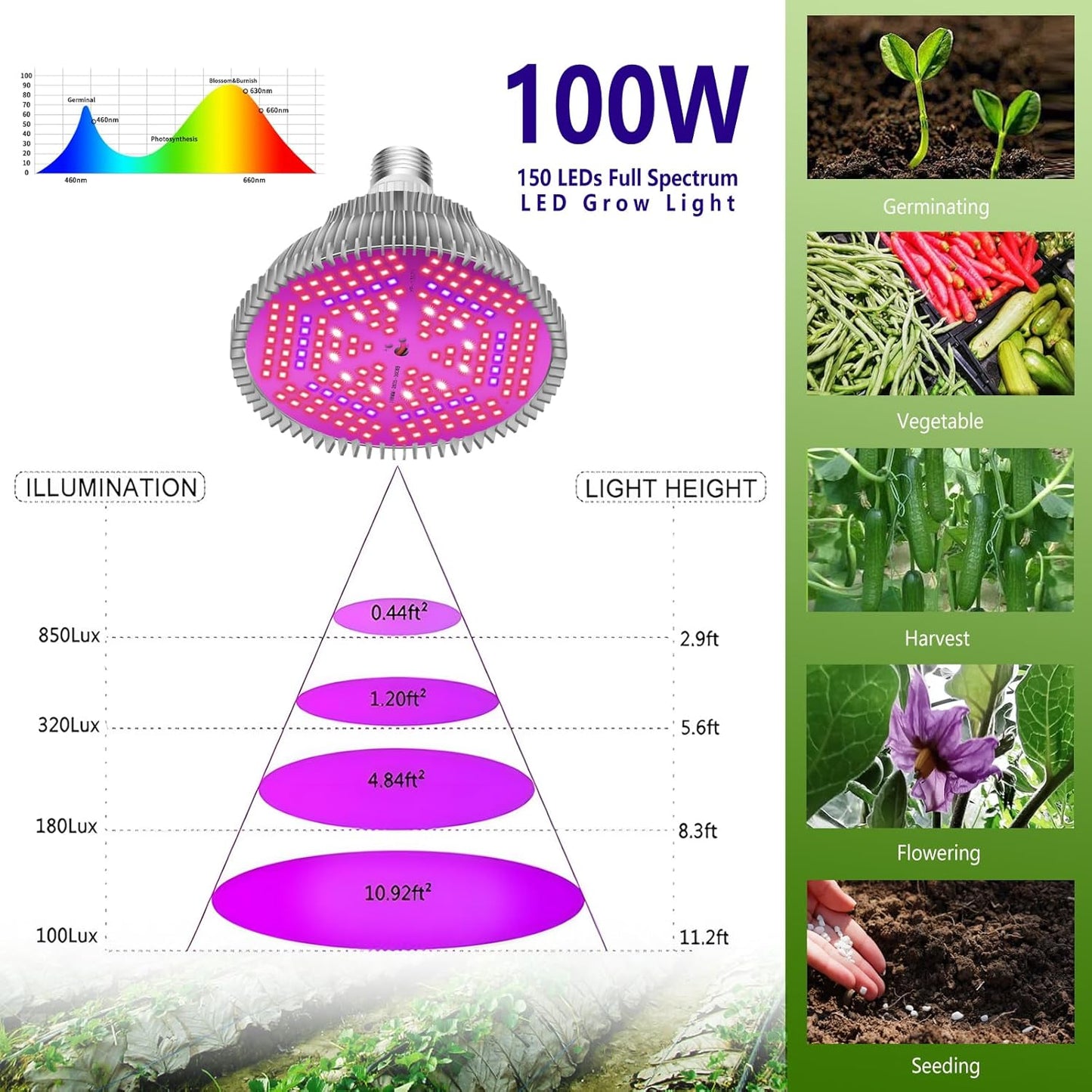 Intpro LED Grow Light Bulbs for Indoor Plants 2Pack, Plant Grow Light Bulb, Grow Bulb Full Spectrum E26 Base, Grow Light for Indoor Plants, Seed Starting