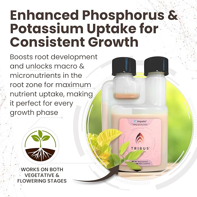 Tribus Organic Microbial Inoculant β Root Booster for Plants, Increases Plant Yield, Root Growth, Flower & Fruit Quality. Bloom Booster. Visible Root Growth in 24Hrs. Liquid Color May Vary. 3.38 oz