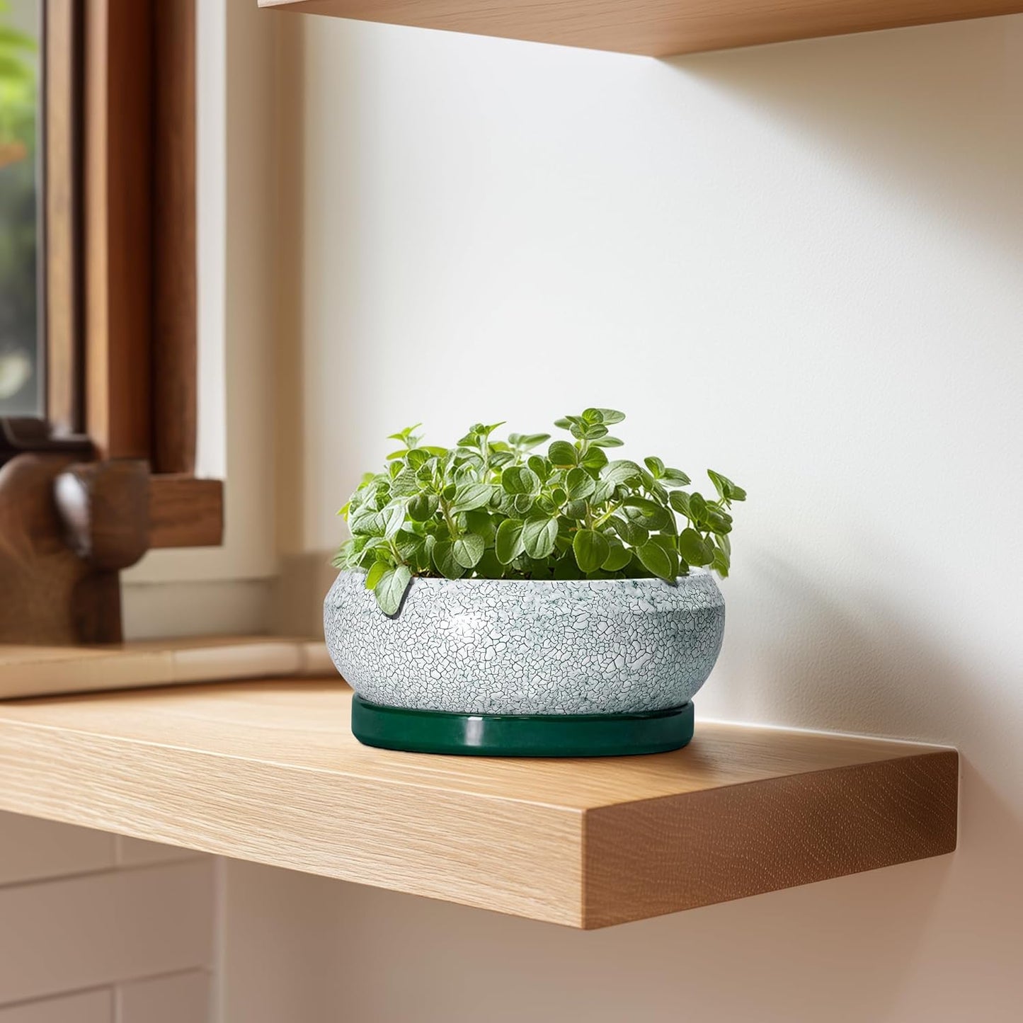 Succulent Pots - 6 Inch Ceramic Pots for Succulent Indoor Outdoor, Small Plant Pot with Drainage Hole and Saucer, Bonsai Pot, Modern Round Planter, Window Decor, Housewarming Gifts, Green