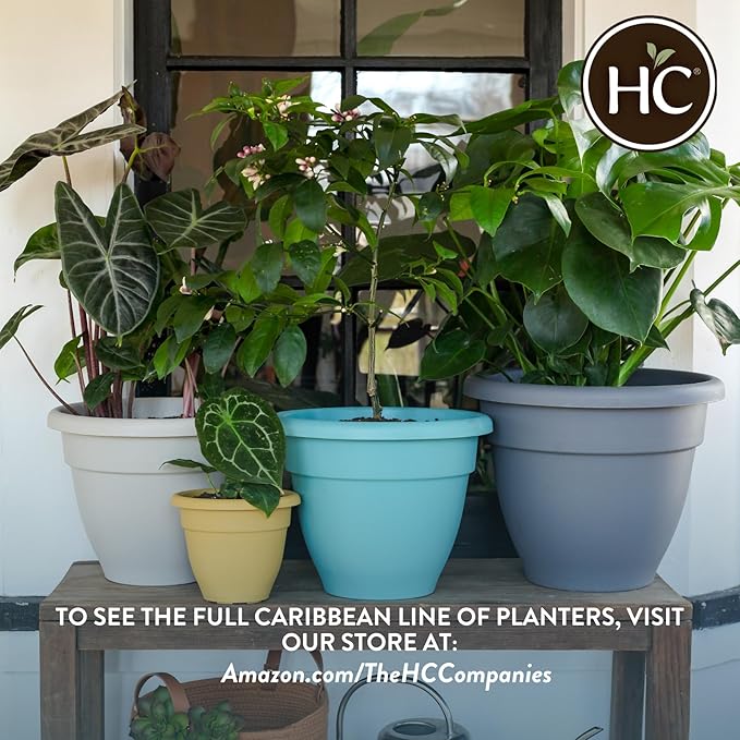 The HC Companies Caribbean Planter Pot - Outdoor & Indoor Plant Pot with Drainage Hole & Plug - Rolled Rim Plastic Pots for Plants & Flowers - Decorative Plant Pot (16" Pink Rose, Pack of 2)