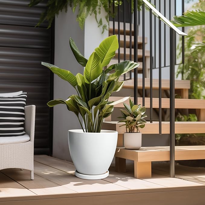 Ceramic Planter - 10 Inch Plant Pot with Drainage Hole and Tray, Flower Pot Planters for Indoor Plants, Modern Room Garden Patio Bathroom Living Room Porch Home Decor, White