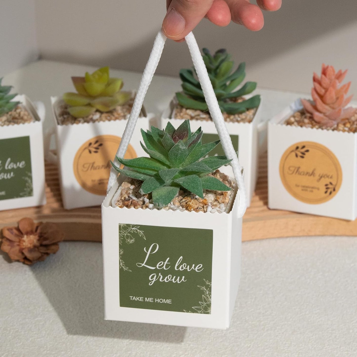 Temlum 2.5 Inch Succulent Wrap Bags (Fits 2.5″ Pots) with Thank You & Let Love Grow Stickers, Succulent Gift Box for Wedding, Baby Shower, Succulent Party Favors for Guests (White 40pcs)