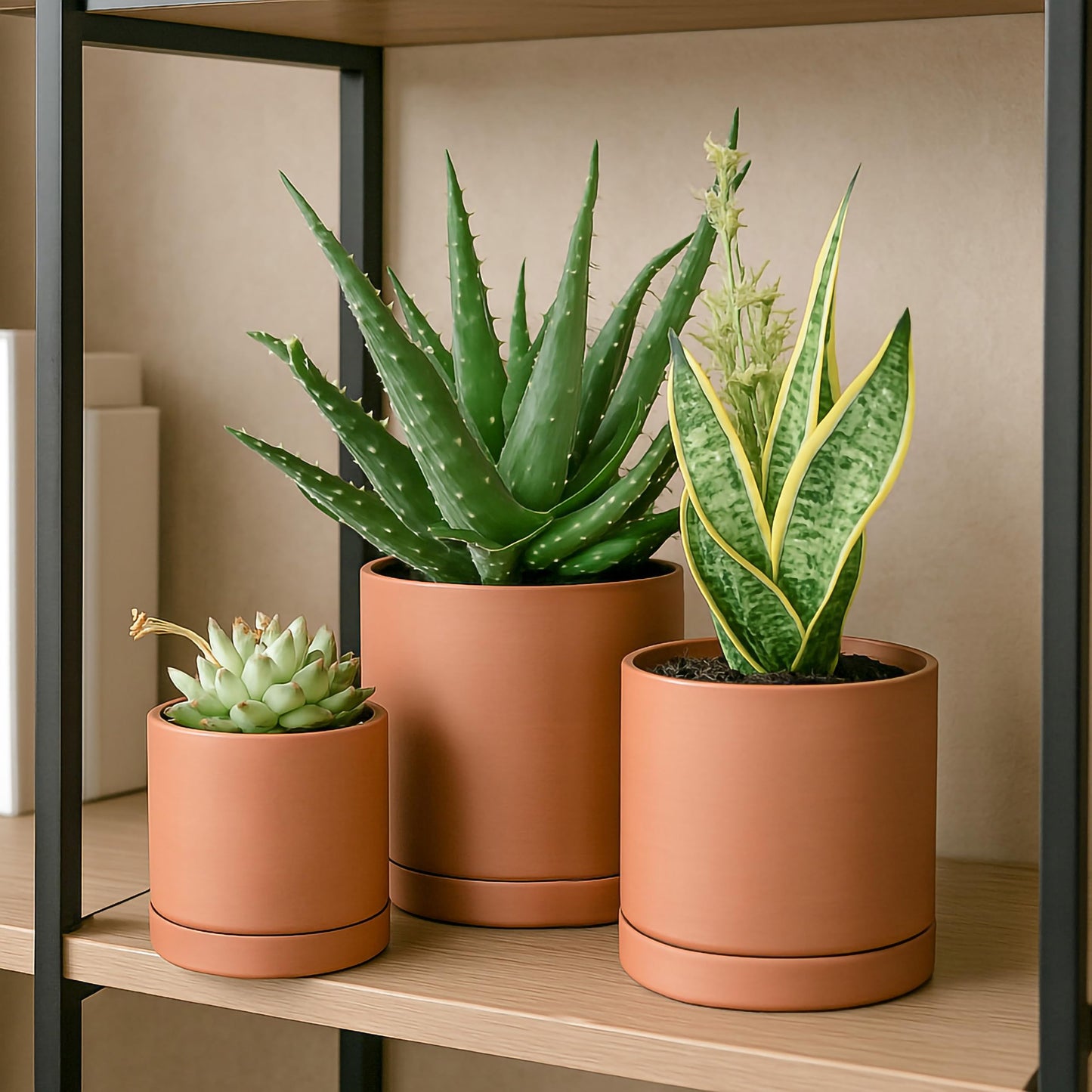 D'vine Dev 3-Pack Classic Terracotta Pots & Saucers, 4/5/6 in, 40-T-A-0
