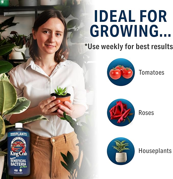 King Crab Root Stimulator for Plants, Ultra Concentrated OMRI Organic Bacteria, 275 Million Organisms per ml, Roses, Tomatoes, Houseplants, Soil Conditioner, Soil Activator, Soil Microbes