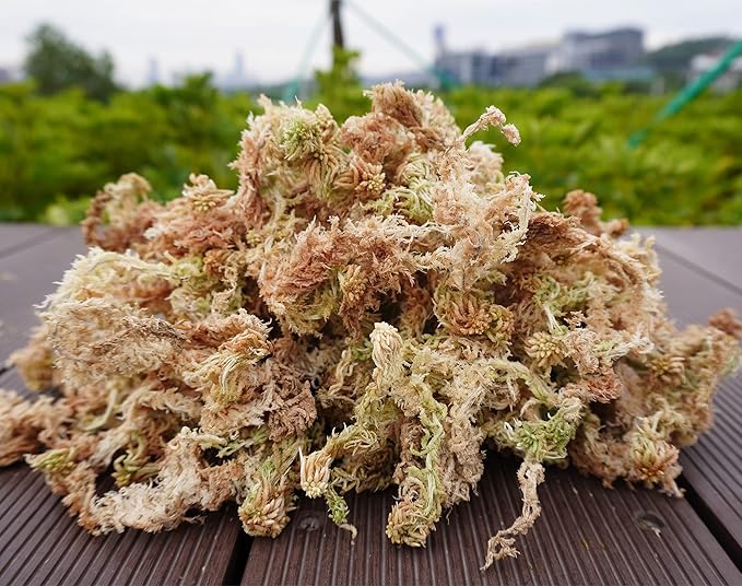 Sphagnum Moss 1.2 lb for DIY Moss Pole, Great Potting Mix for Indoor Plants, Help with Maintain Humidity