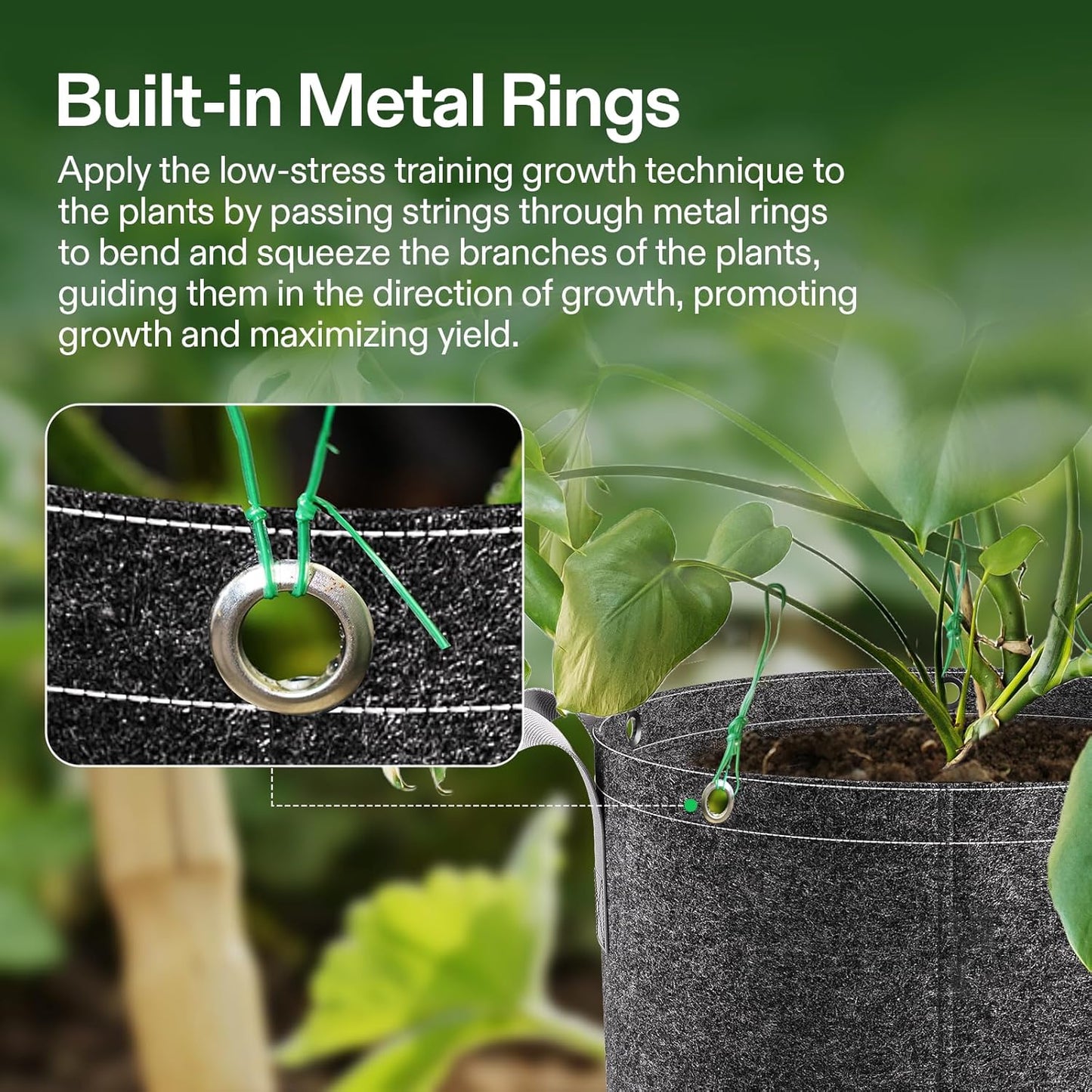 VIVOSUN 5-Pack 10 Gallon Grow Bags, 500G Thick Nonwoven Fabric Pots with Strap Handles, Multi-Purpose Rings, for Low Stress Plant Training Fruits, Vegetables, and Flowers
