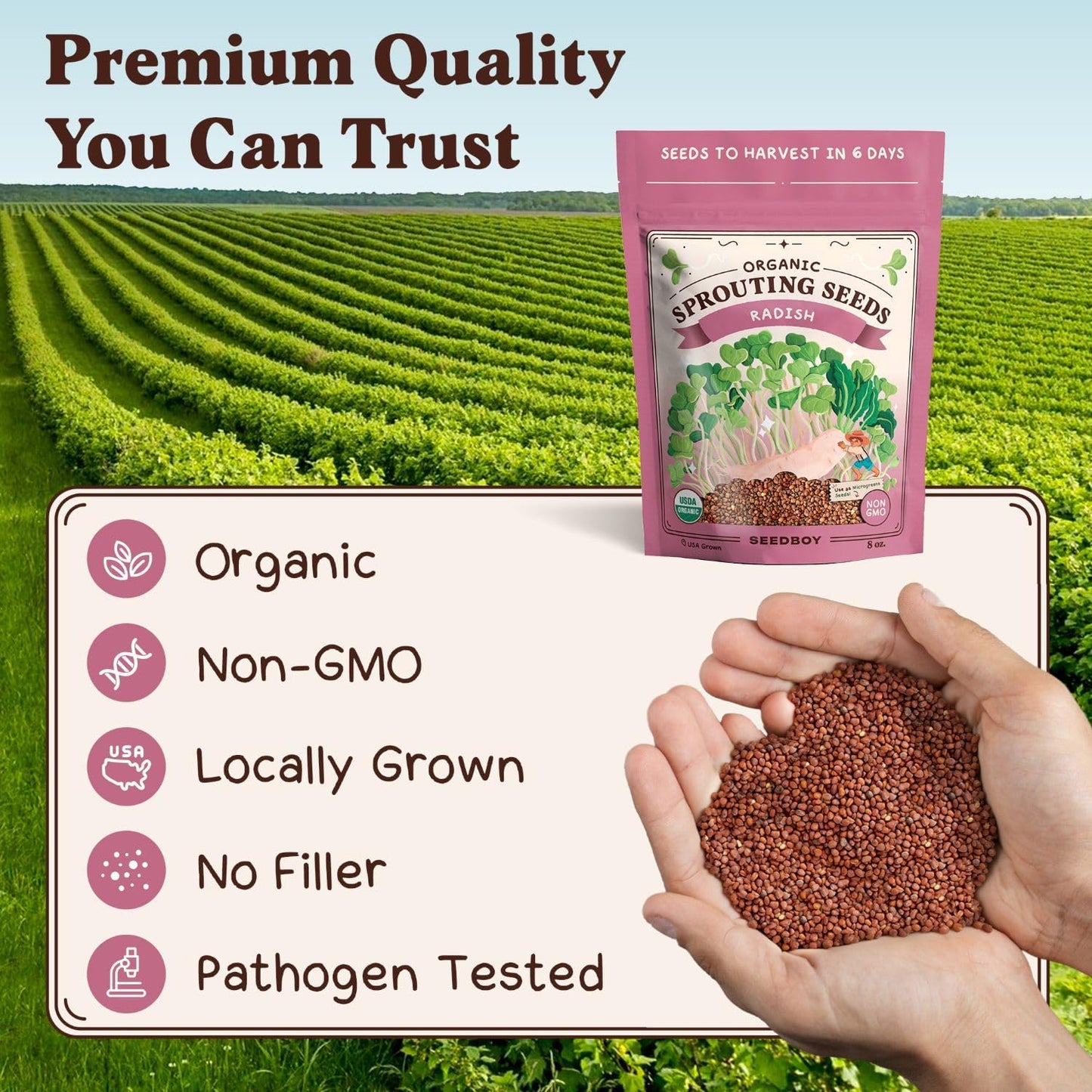 Seedboy Organic Non-GMO Radish Seeds for Sprouting - USA Grown Microgreens Sprouting Seeds - 8 oz Bag Makes 8 Quarts / 24 Servings (Daikon Radish)